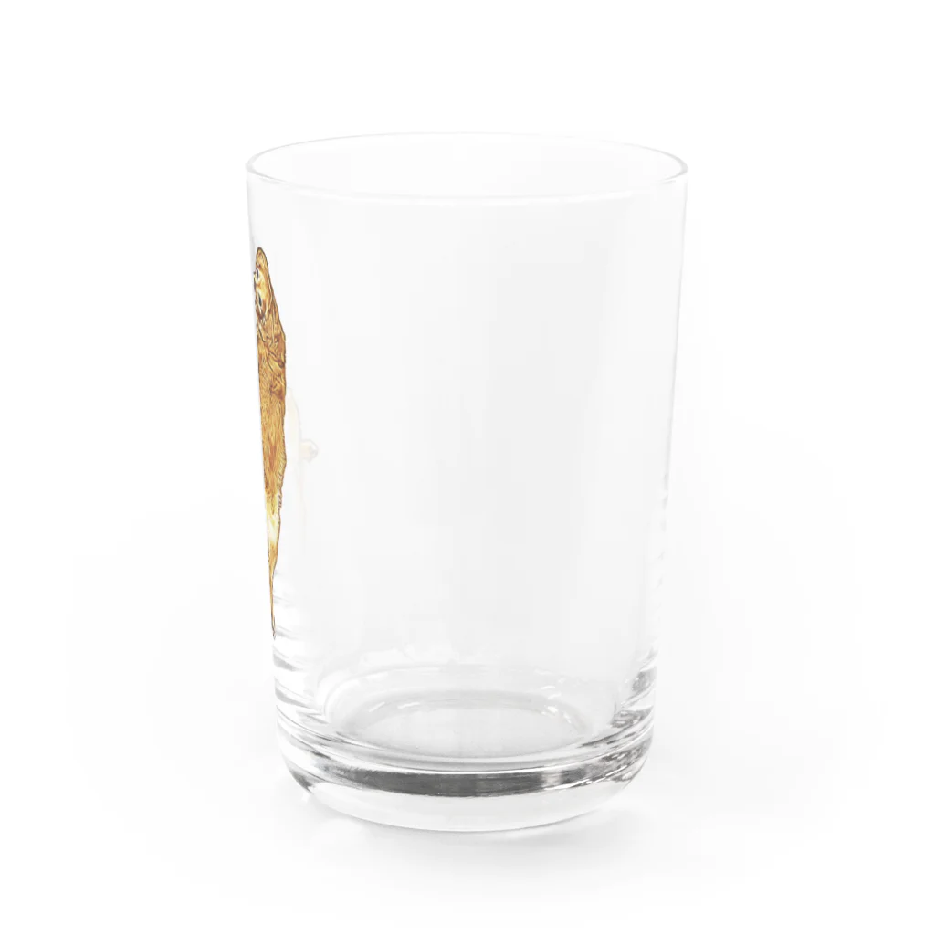 flatcoatedretrieverのgolden retriever Water Glass :right