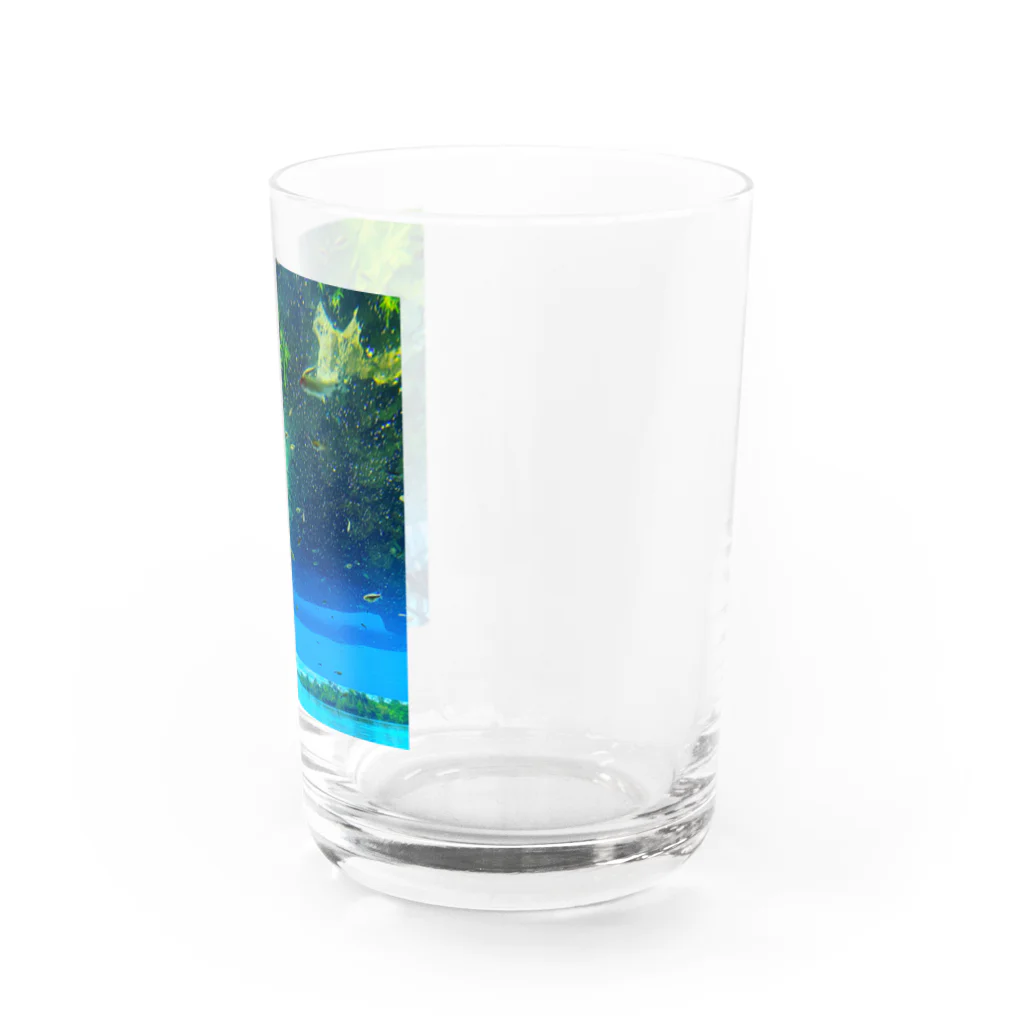 角笛とハレー彗星の魚と同じ目線になる Water Glass :right