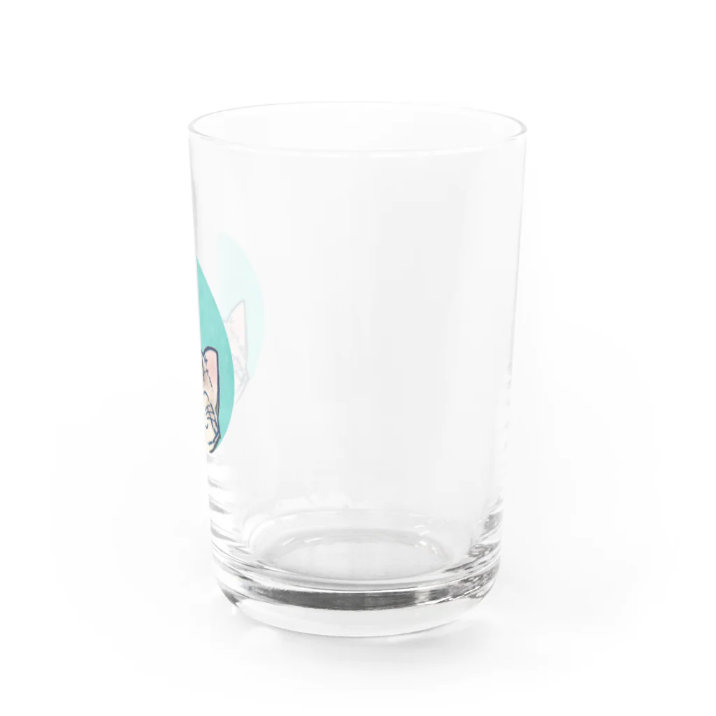 ＡＫＩＮＡＭＩのあさぎ丸猫 Water Glass :right