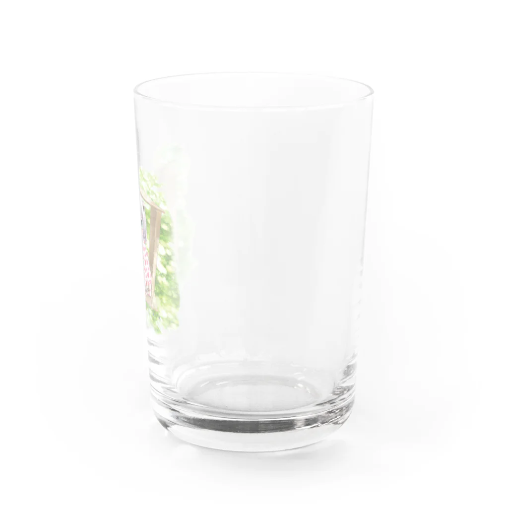 阿部ゆたかの箱ねこ（芝） Water Glass :right