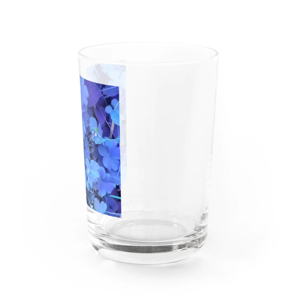 ハイツ森の中のボタニカル　ブルー Water Glass :right