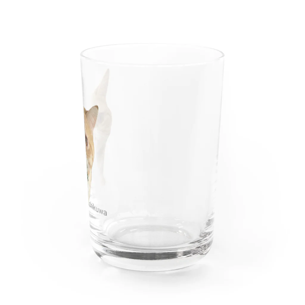 CHIKUWAの世界一のちくわ Water Glass :right