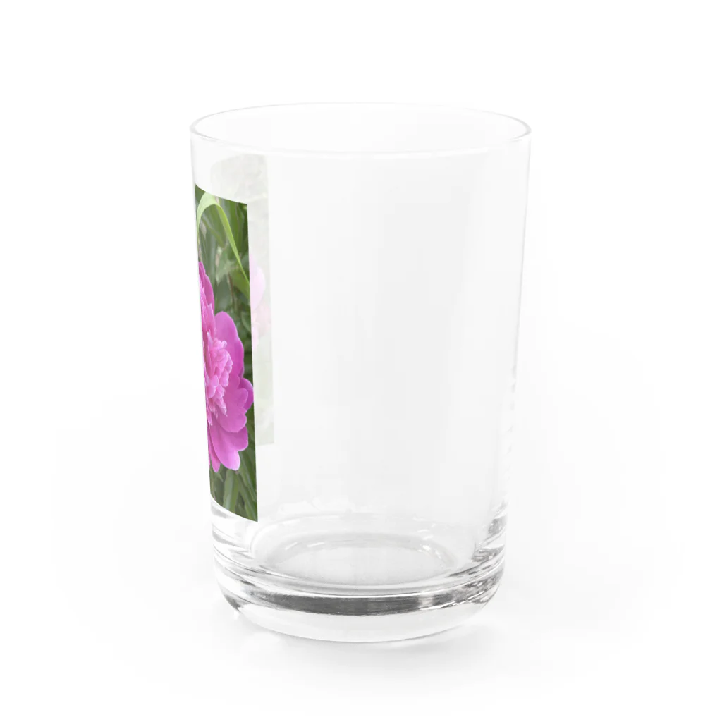 kerokoro雑貨店の華　芍薬(しゃくやく) ピンク Water Glass :right