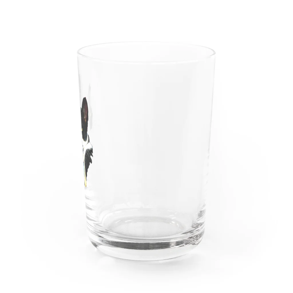 フミノコsuzuri祭のはたらく黒白猫 Water Glass :right