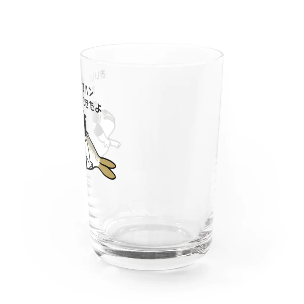 ふじねこのおいしいゴハン食べにきたよ Water Glass :right