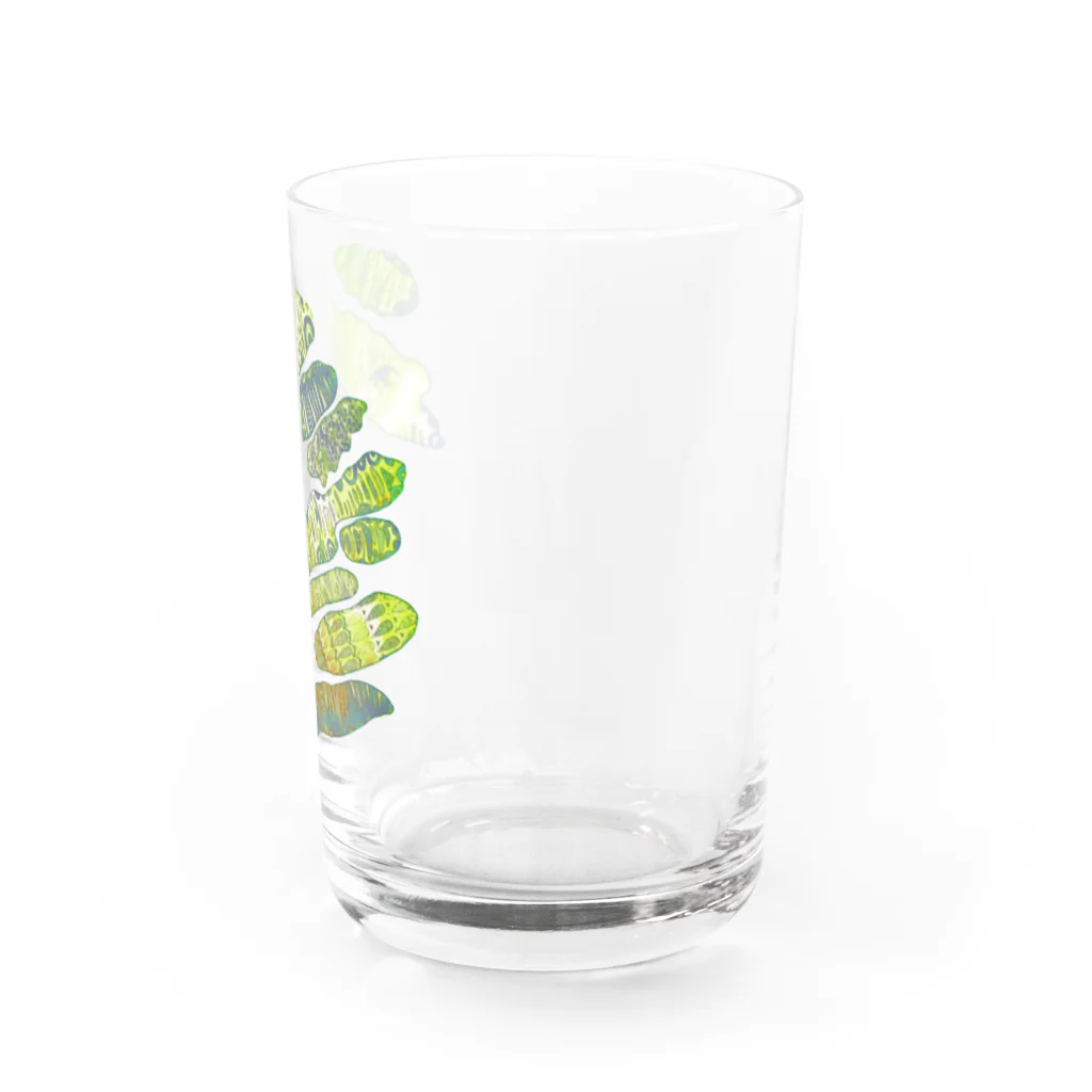 ha ru mi .の全部愛して。 Water Glass :right