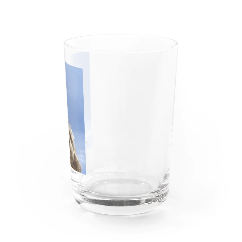 bearchan58の青空犬 Water Glass :right