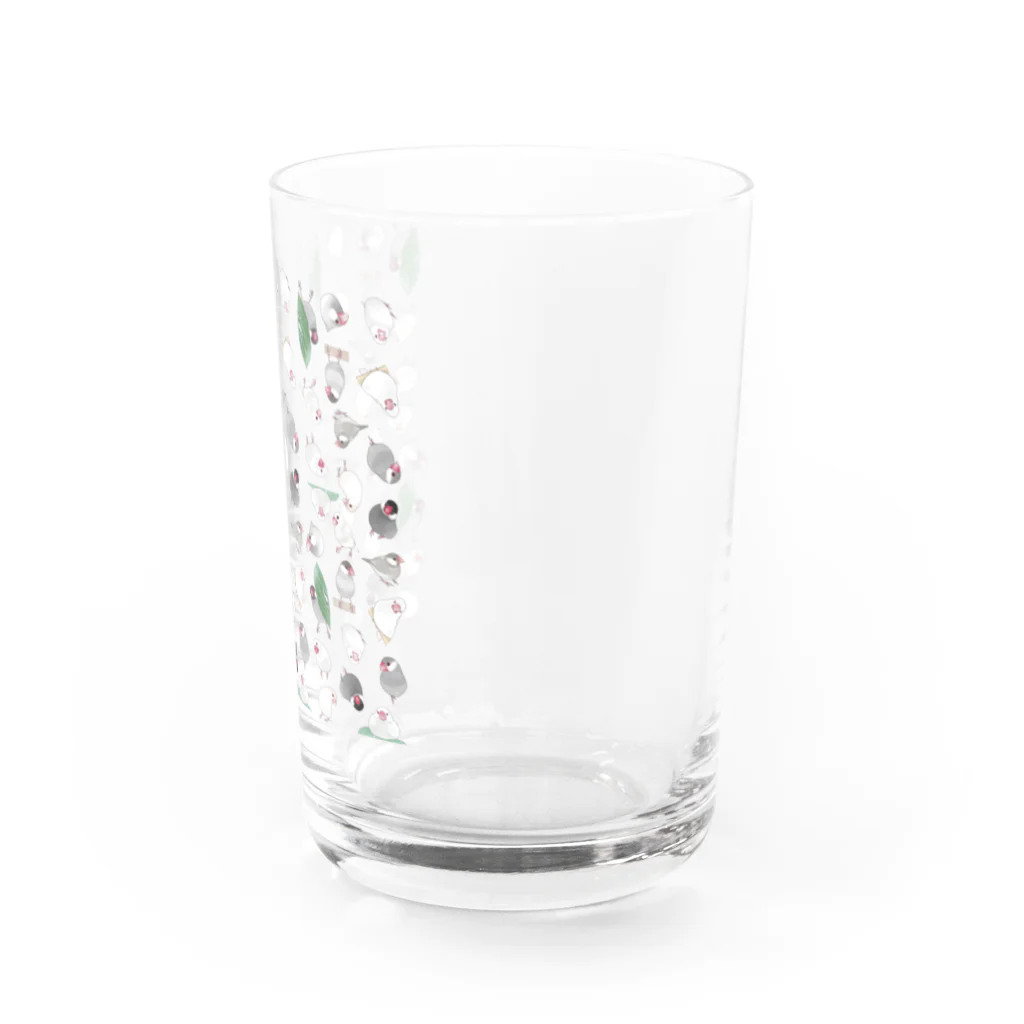 まめるりはことりのたっぷり文鳥ちゃん【まめるりはことり】 Water Glass :right