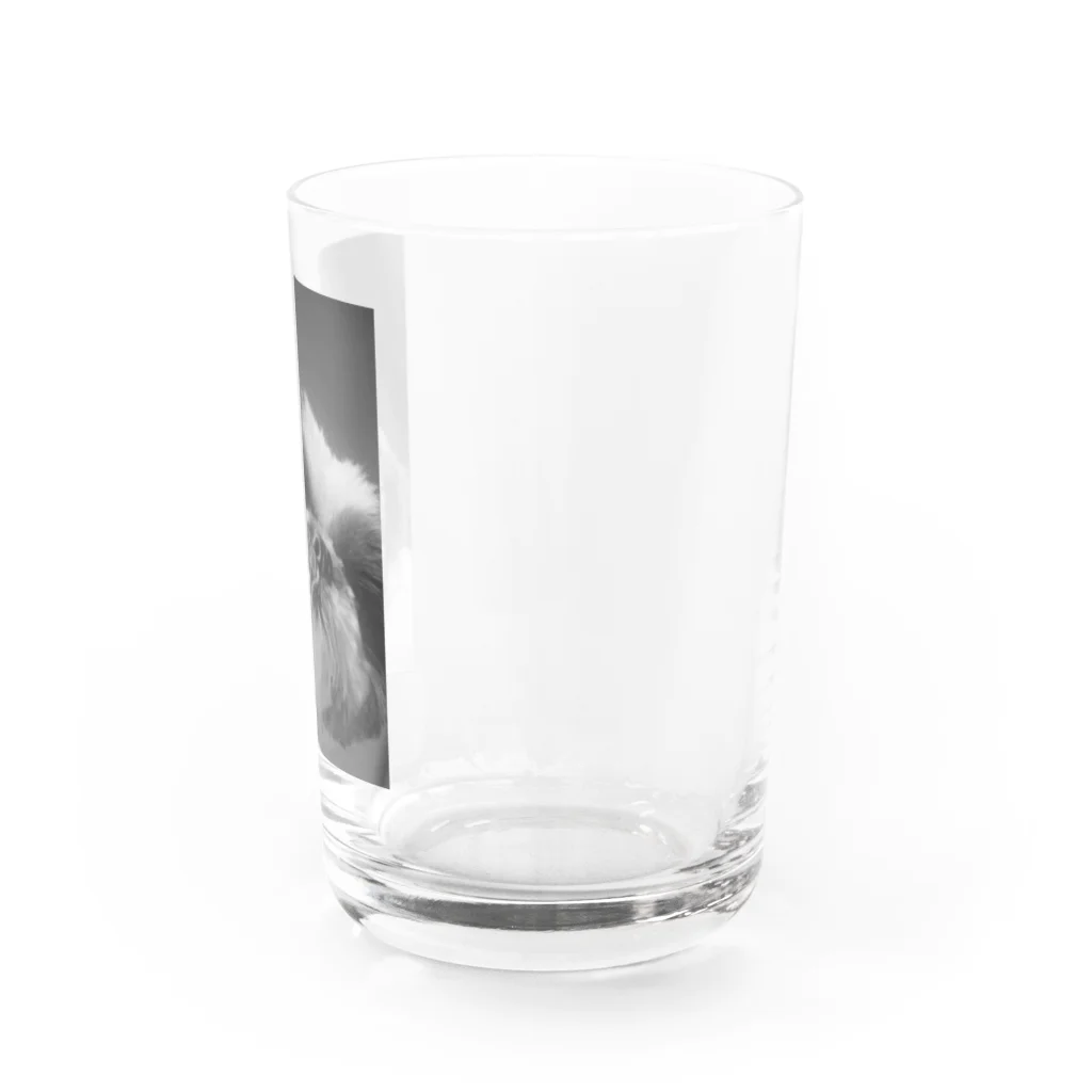 ももたろうのももたろう Water Glass :right