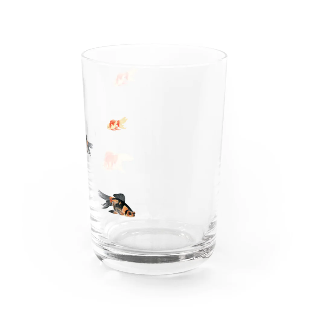 海賊猫 cocoの『夏祭り』 夏 琉金 金魚 金魚すくい 浮世絵 Water Glass :right