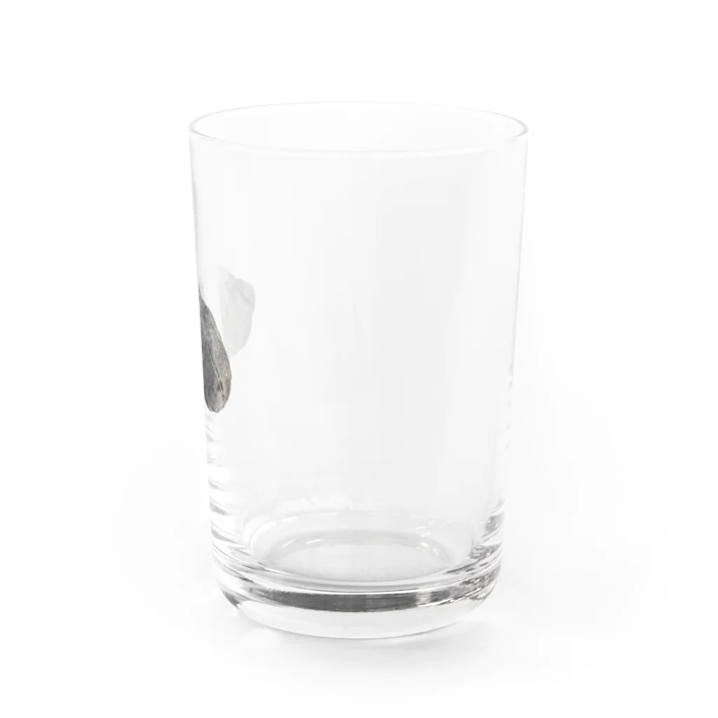 ほなみせのごつごつしたくろい石 Water Glass :right