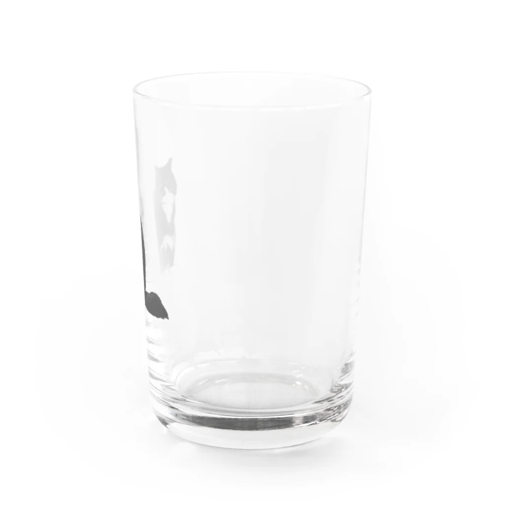 にゃんたろうの変な座り方にゃんたろう Water Glass :right