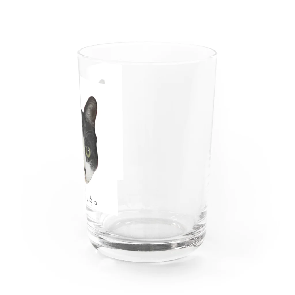 キースケのハチワレネコ Water Glass :right