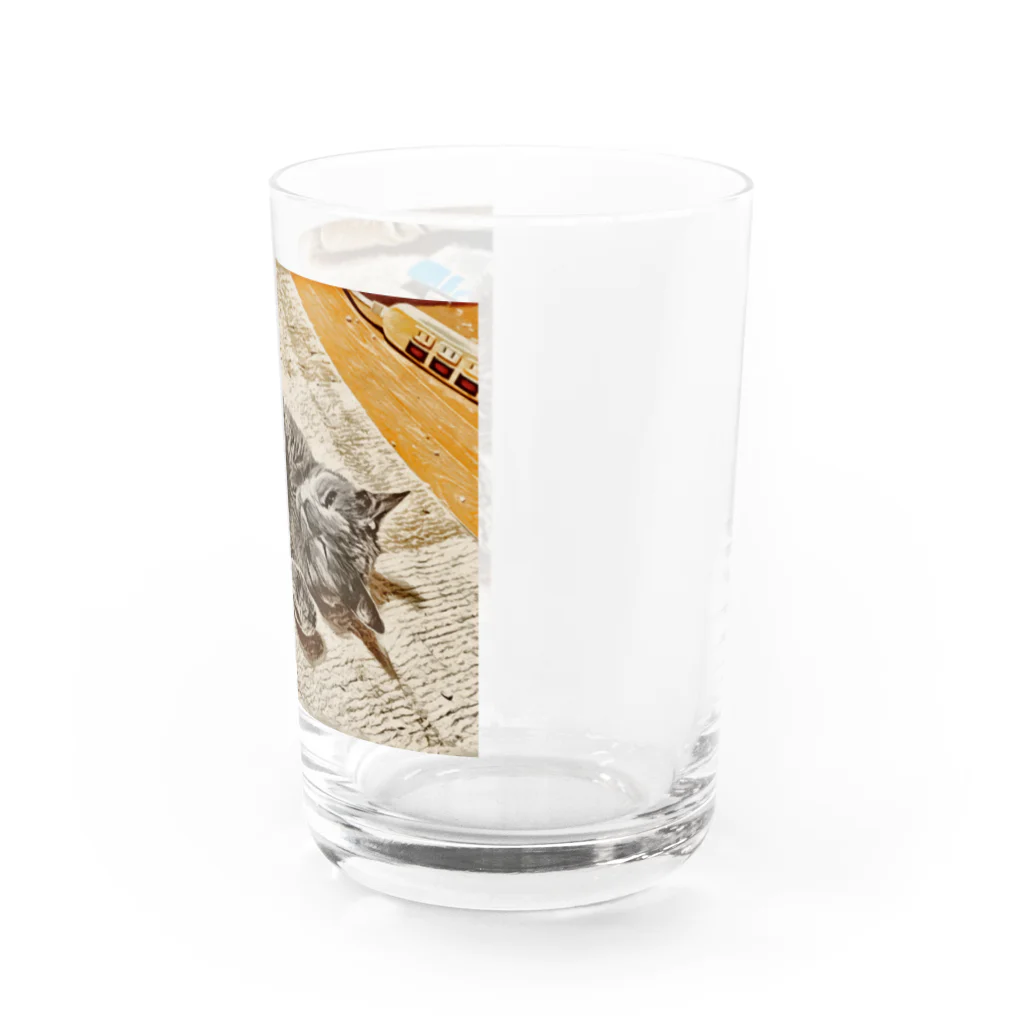 yukepanshopのあざといネコ Water Glass :right