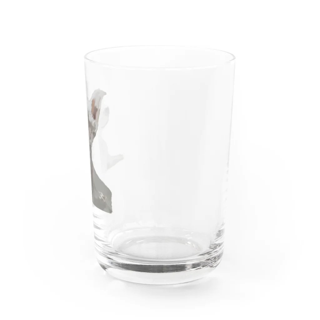 チワワの87_lucioのチワワの肖像 Water Glass :right