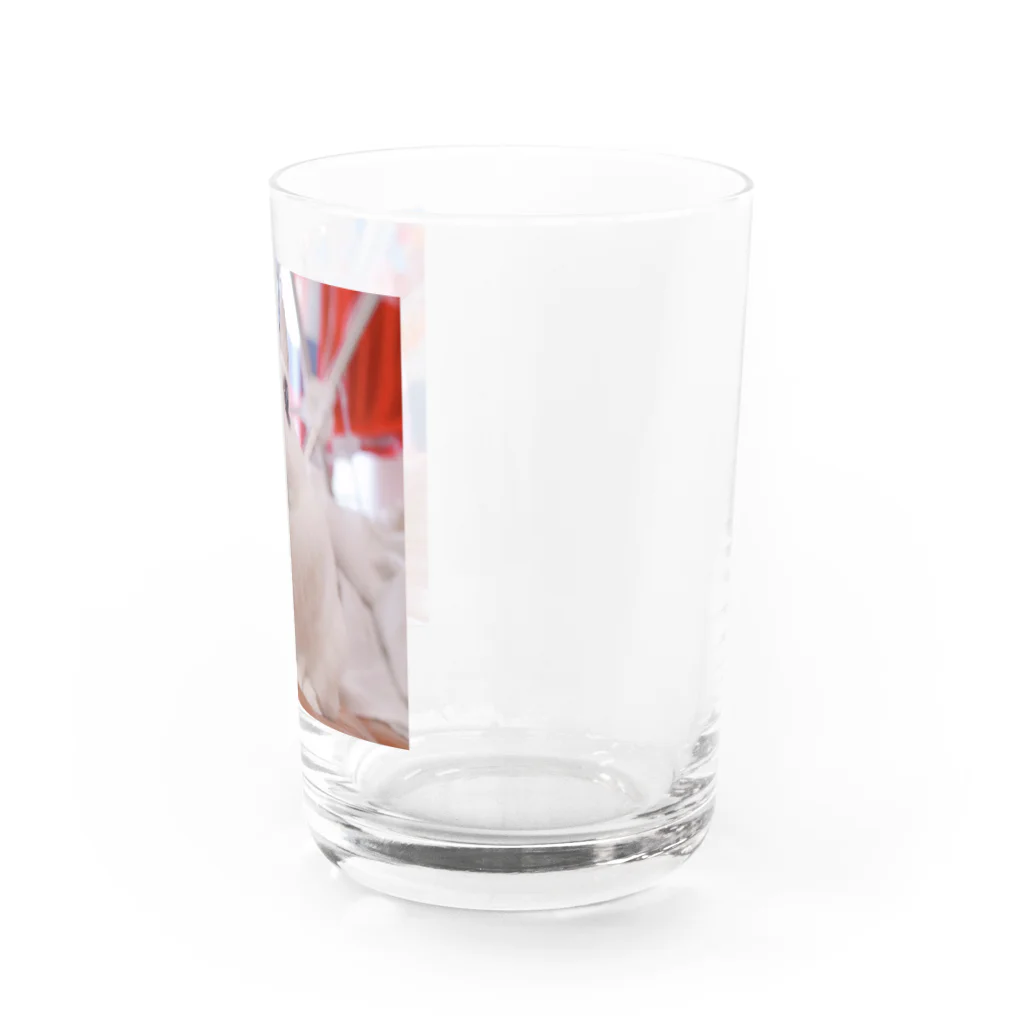 あんにんのおみせのキリッとあんにん Water Glass :right