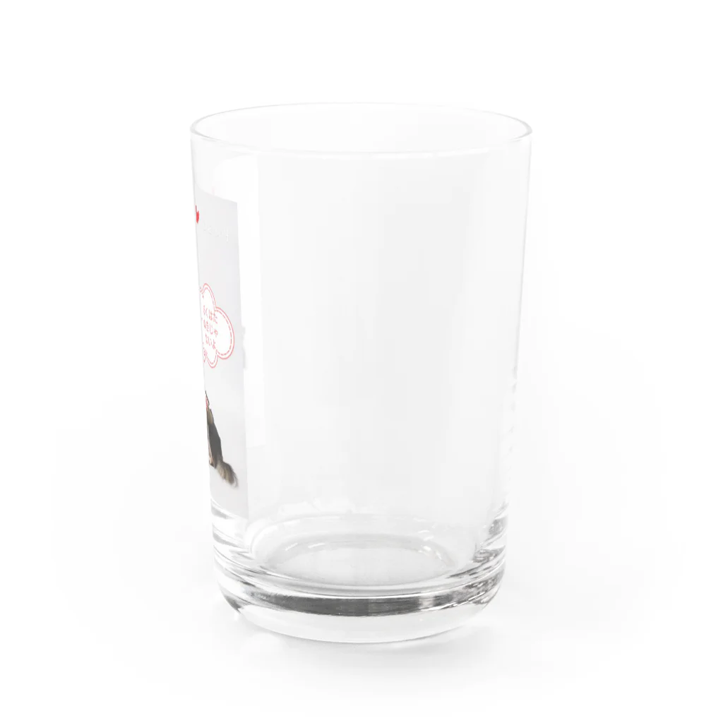 chackyuzuのぼくたぬきじゃないよ Water Glass :right