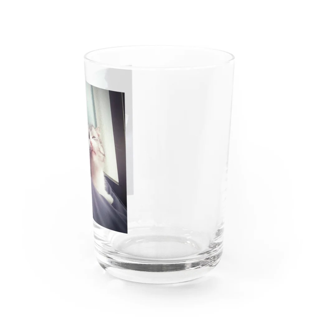 ぽいぽいまるまるの生意気まる Water Glass :right