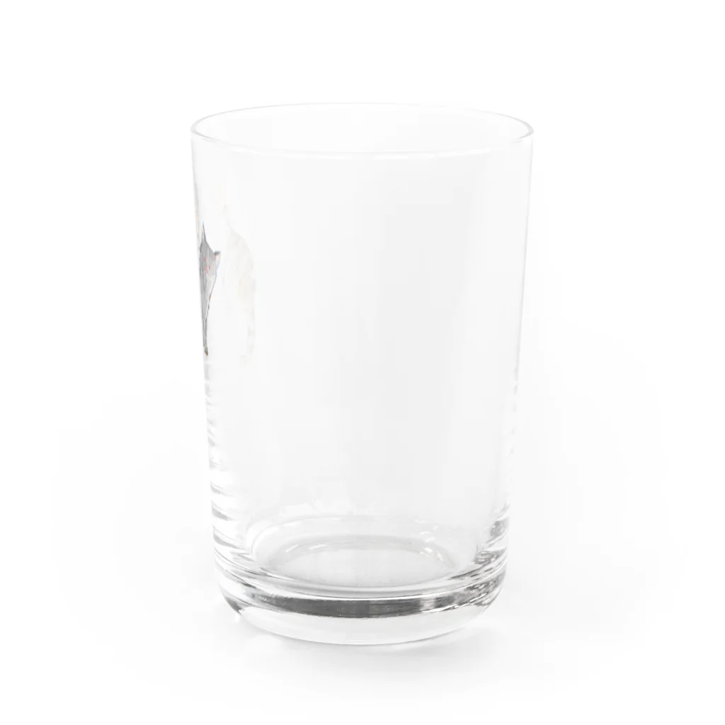 nicospyderのねこちゃん姉妹 Water Glass :right