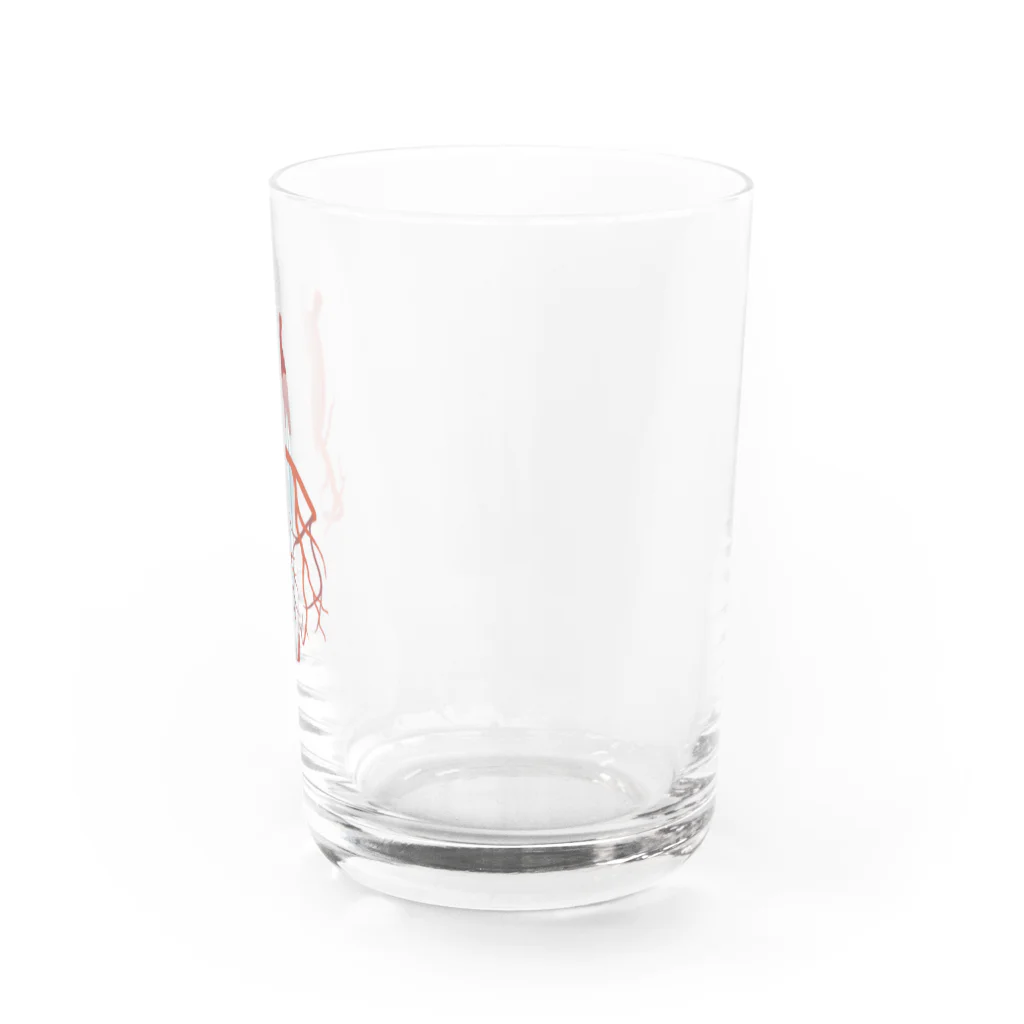 ココハレのココハレIABP グラス右面