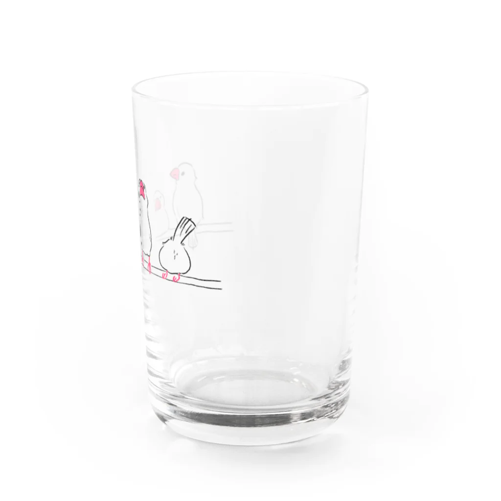  はらだかおり |  Kaori Haradaのならんだ白文鳥さん Water Glass :right