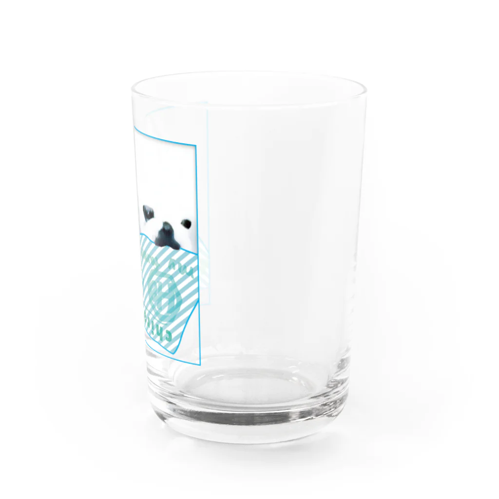 Hagumi-clubのちらし寿司を運ぶペキニーズ Water Glass :right