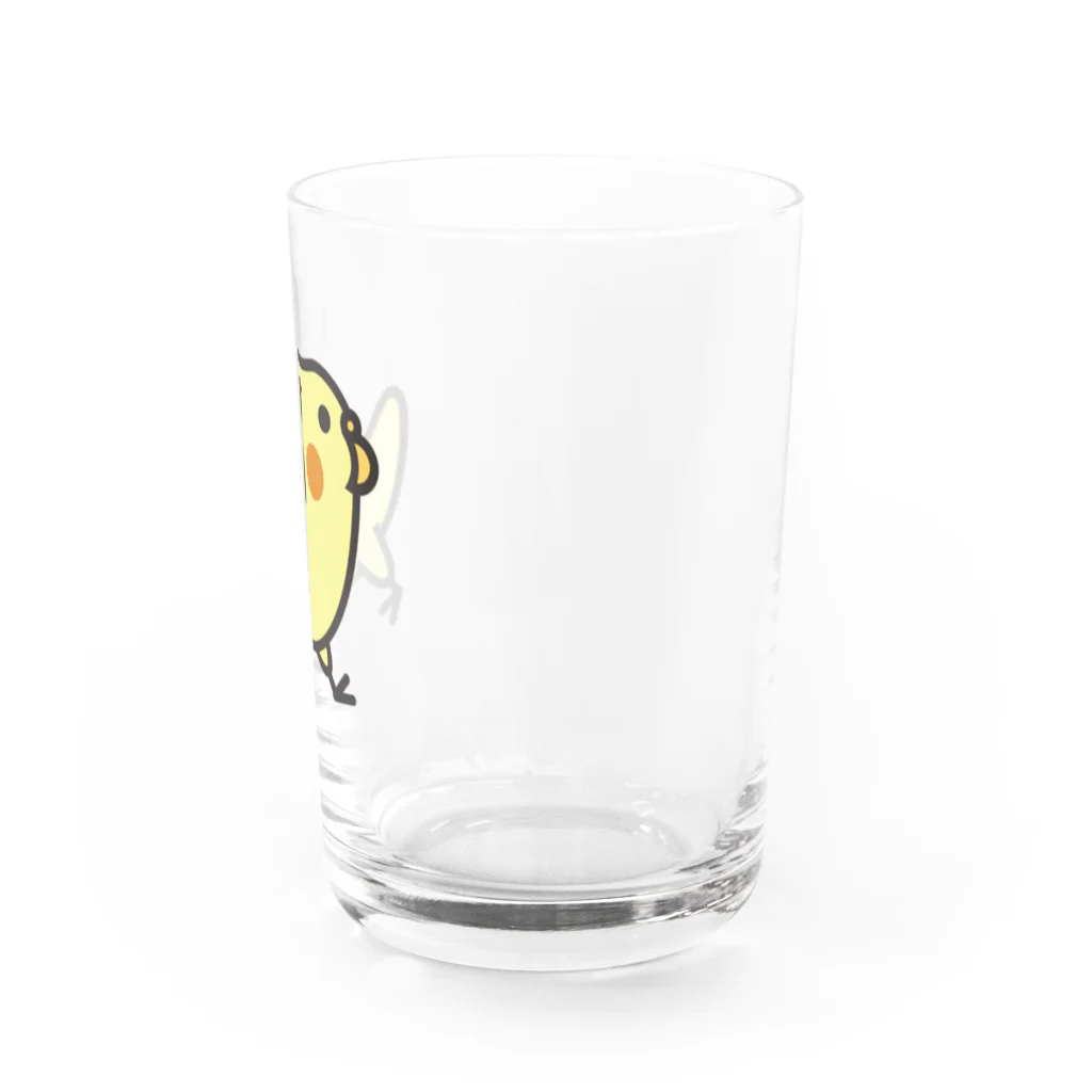 プッチのおみせの駆け抜けオカメ ルチノー Water Glass :right