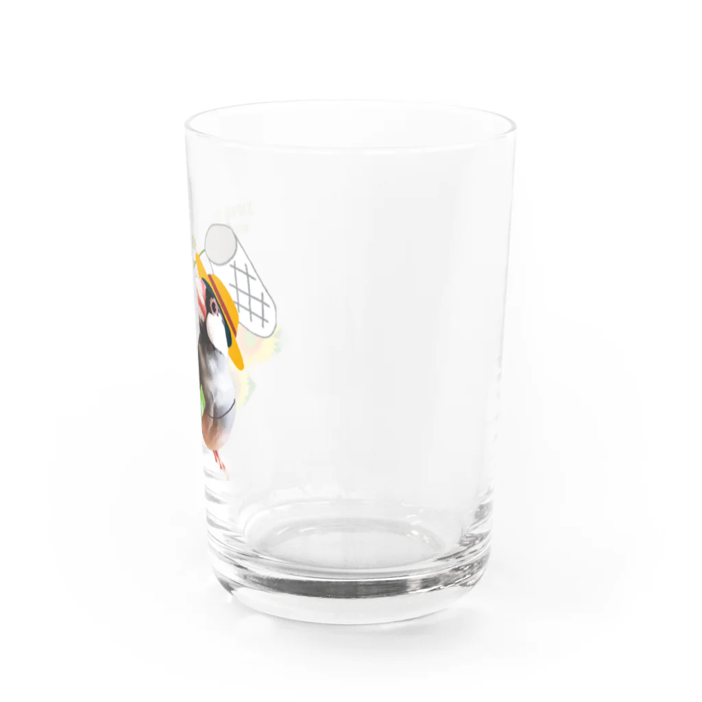 🐦🦆XL文鳥のXL文鳥19　日本の夏。文鳥の夏。 Water Glass :right