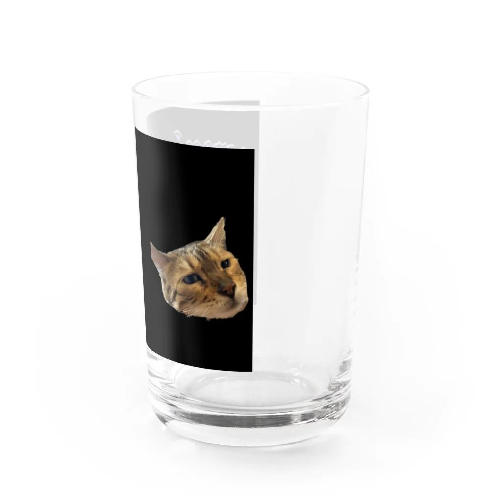 ꏸꋪꋫꁹꂑꐇꁒ𖤐《毎日ハロウィンのクラニアム》の猫のるいたまんじゅう Water Glass :right