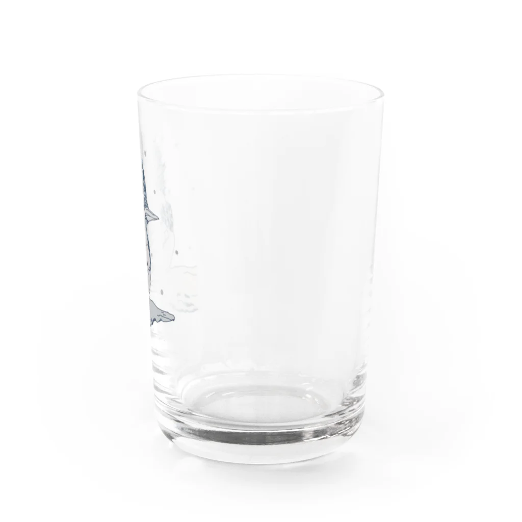 色羽にほへとのヤマセミさん Water Glass :right