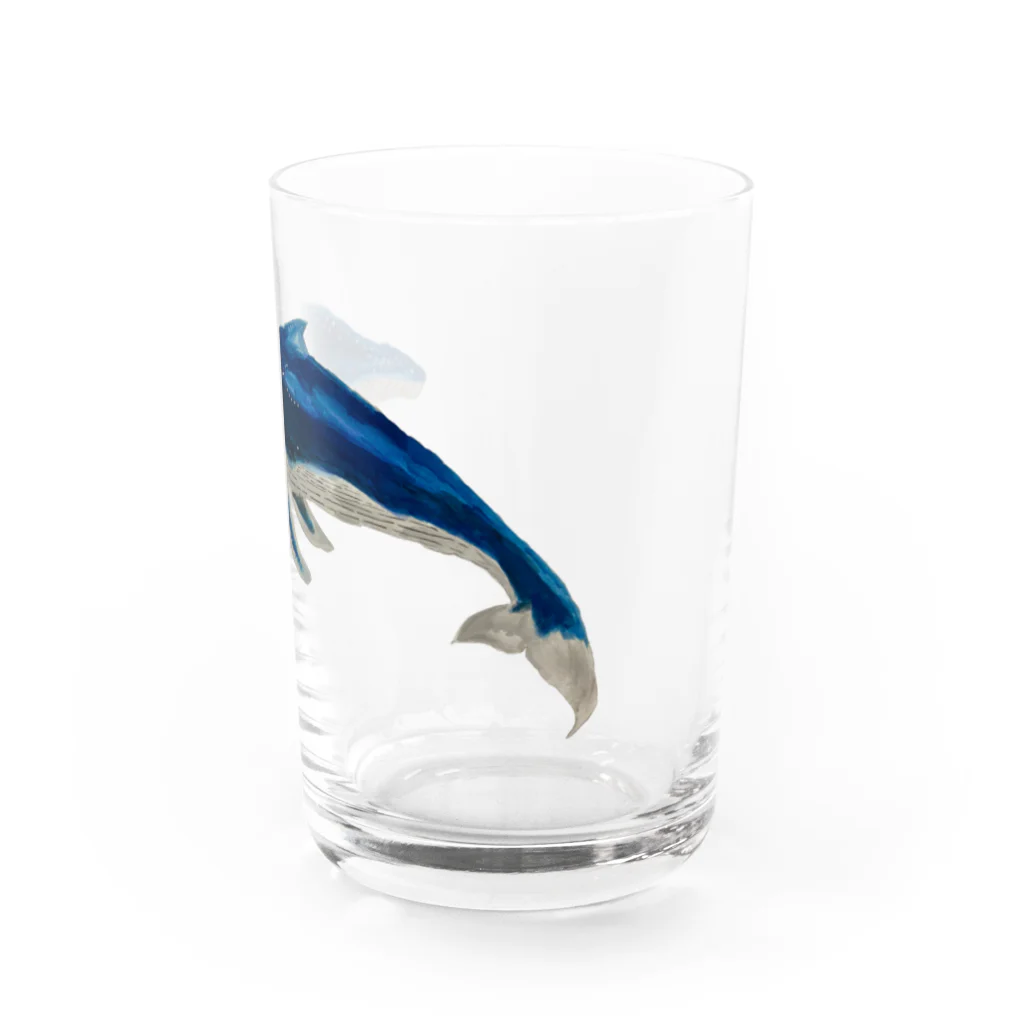 Coshi-Mild-Wildのザトウくじらだよ🐋 Water Glass :right