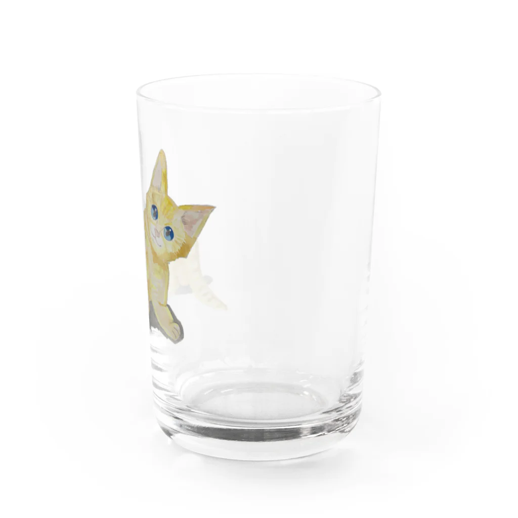 Coshi-Mild-Wildの茶トラの子ネコだぞっ😸 Water Glass :right