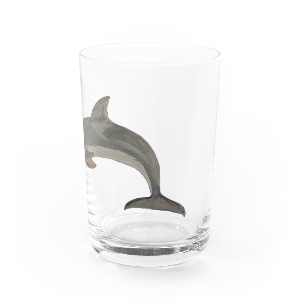 Coshi-Mild-Wildの💕バンドウイルカですヨ🐬 Water Glass :right