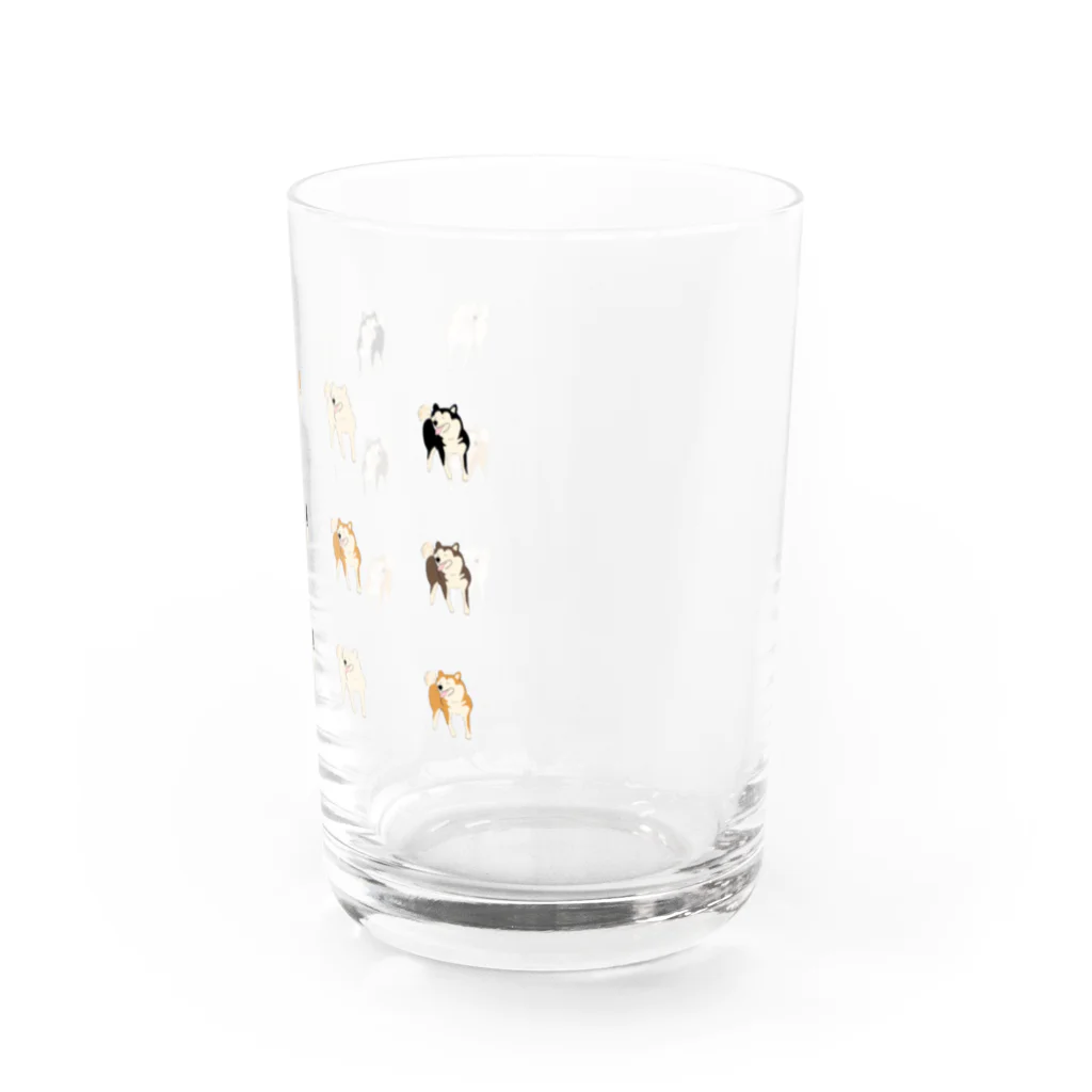 柴犬の里の楽しそうな柴犬のグラス Water Glass :right