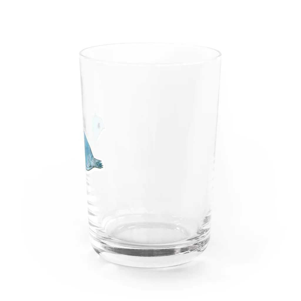 すみれ店のサザナミインコです。 Water Glass :right