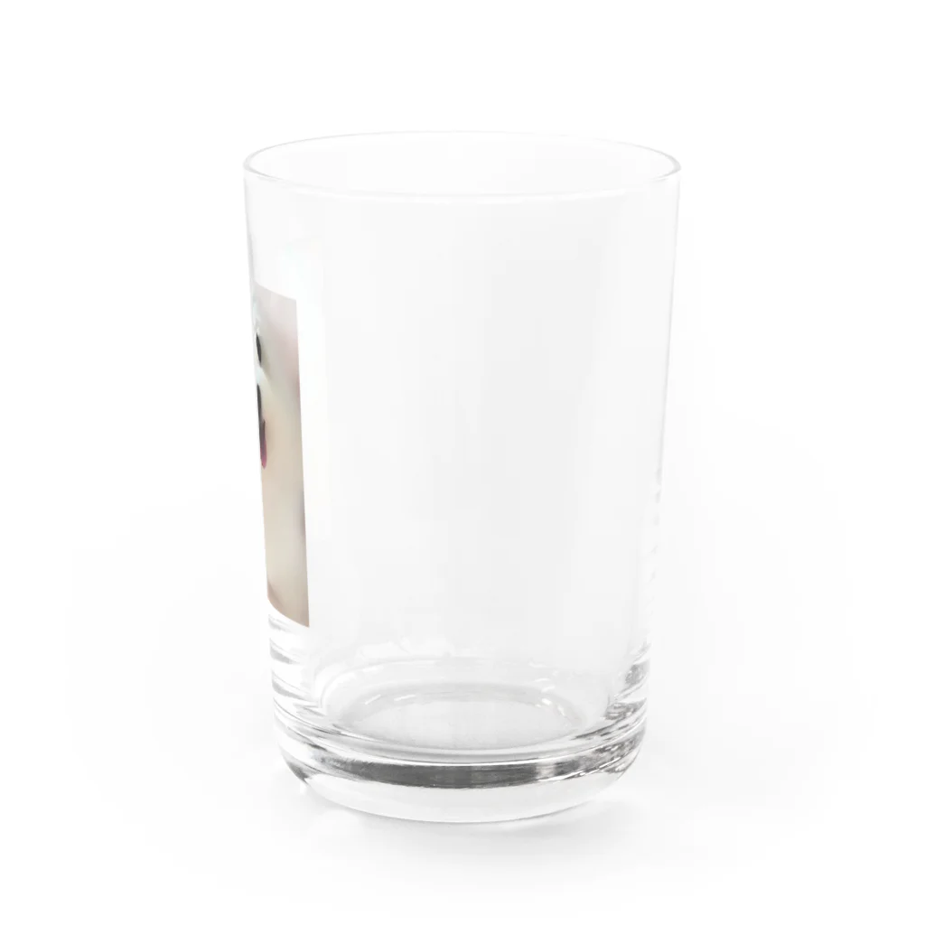 白い妖精の銀ちゃん Water Glass :right