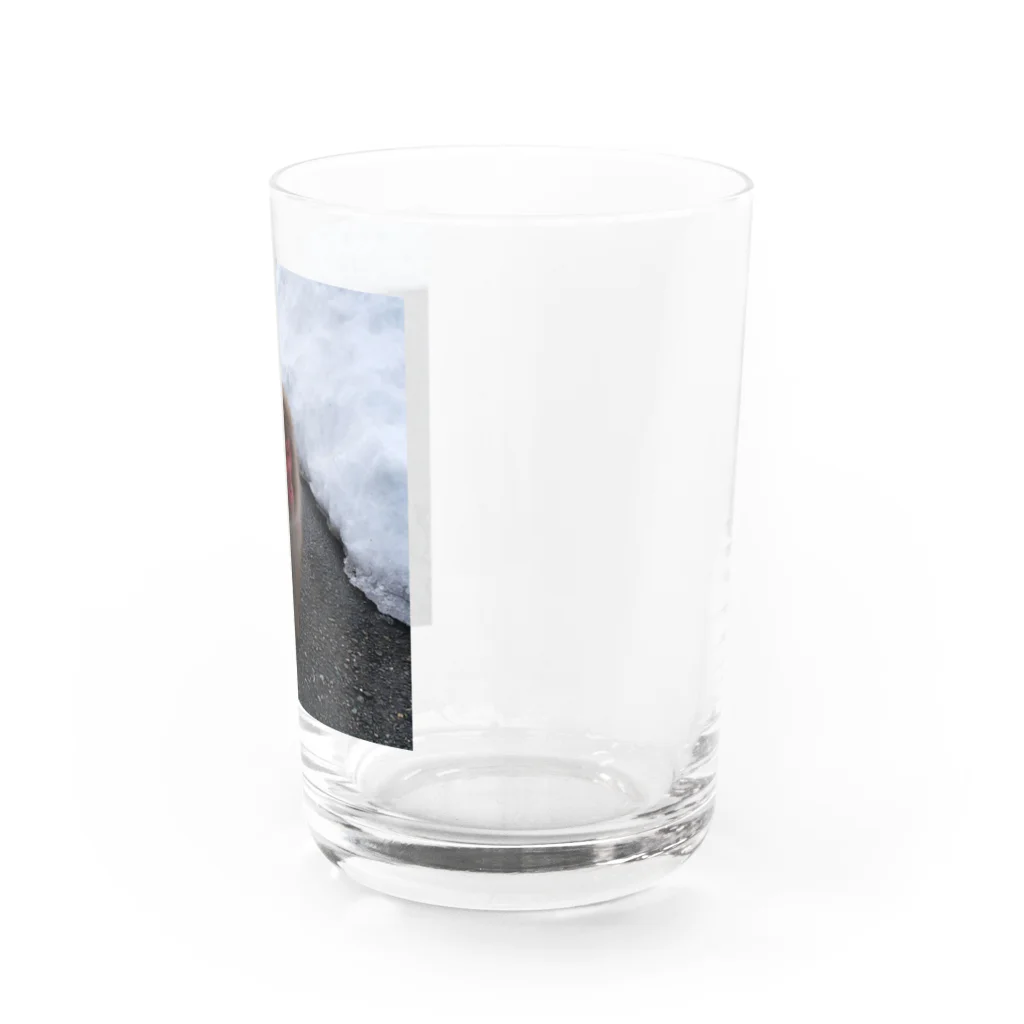 さッとんのおさるちゃん Water Glass :right