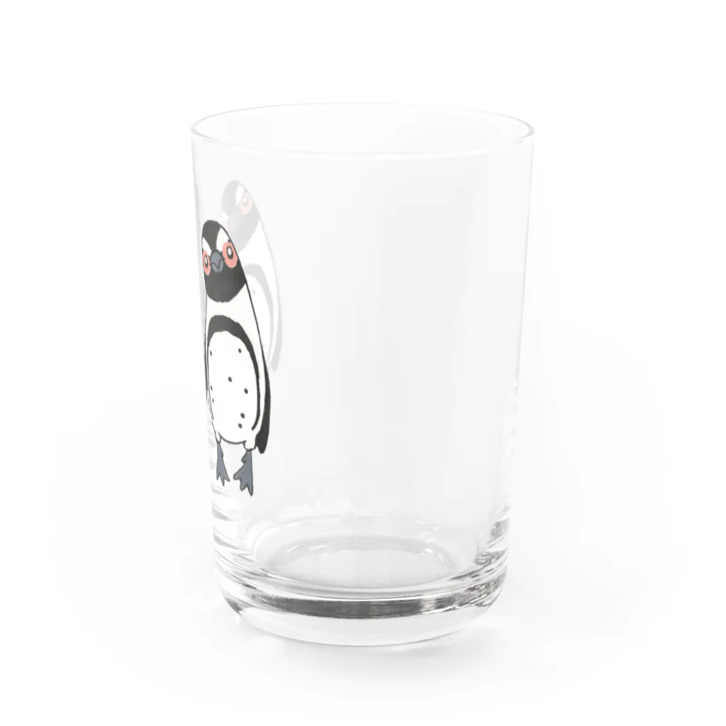 penguininkoの手繋ぎケープペンギンのカップル🐧❤️🐧 Water Glass :right