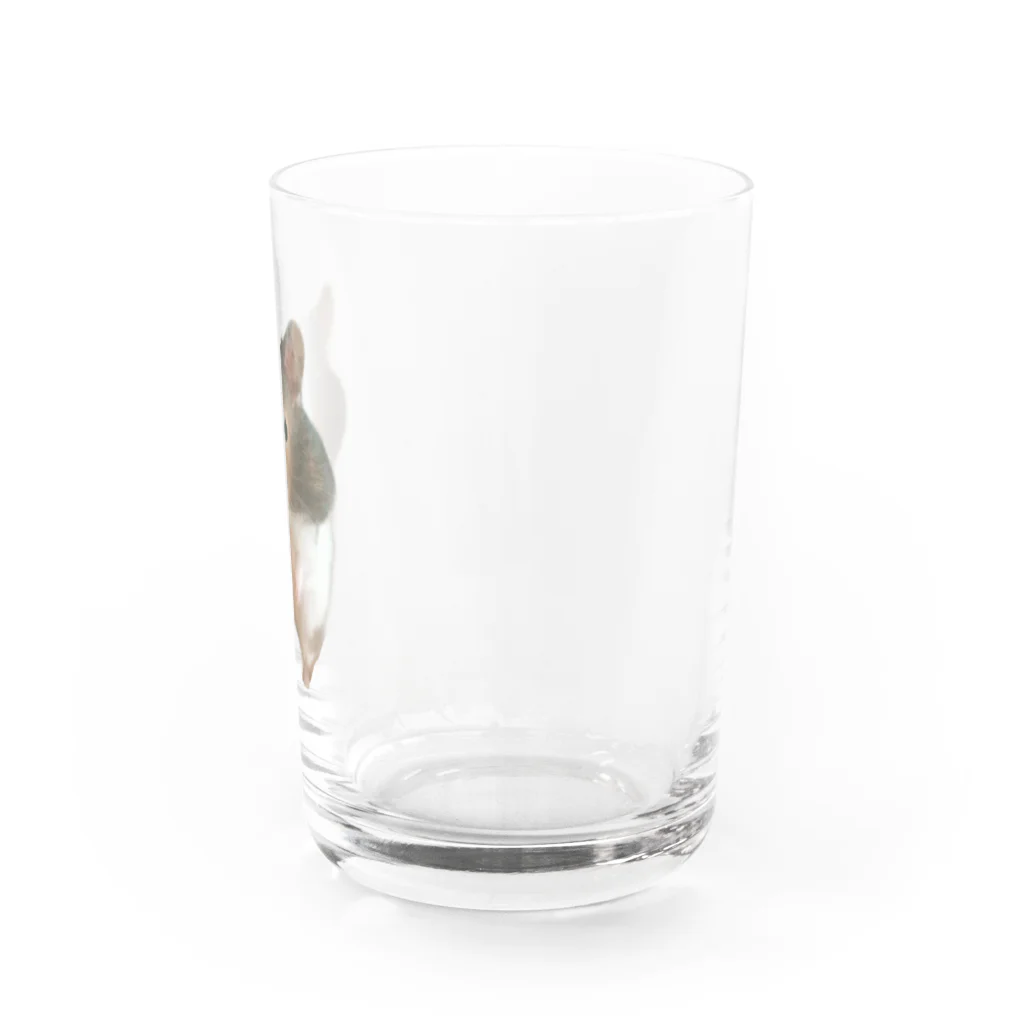 天外魔境IIの襲来！はむはむ Water Glass :right