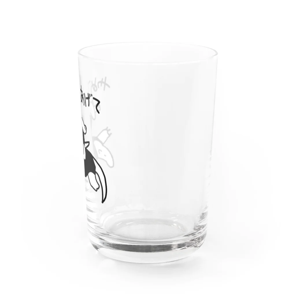 いきものや　のの（別館）の練習ミナミコアリクイ Water Glass :right