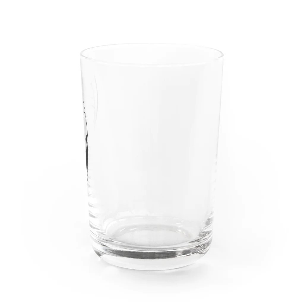 西崎の流し目四白単眼ちゃん Water Glass :right