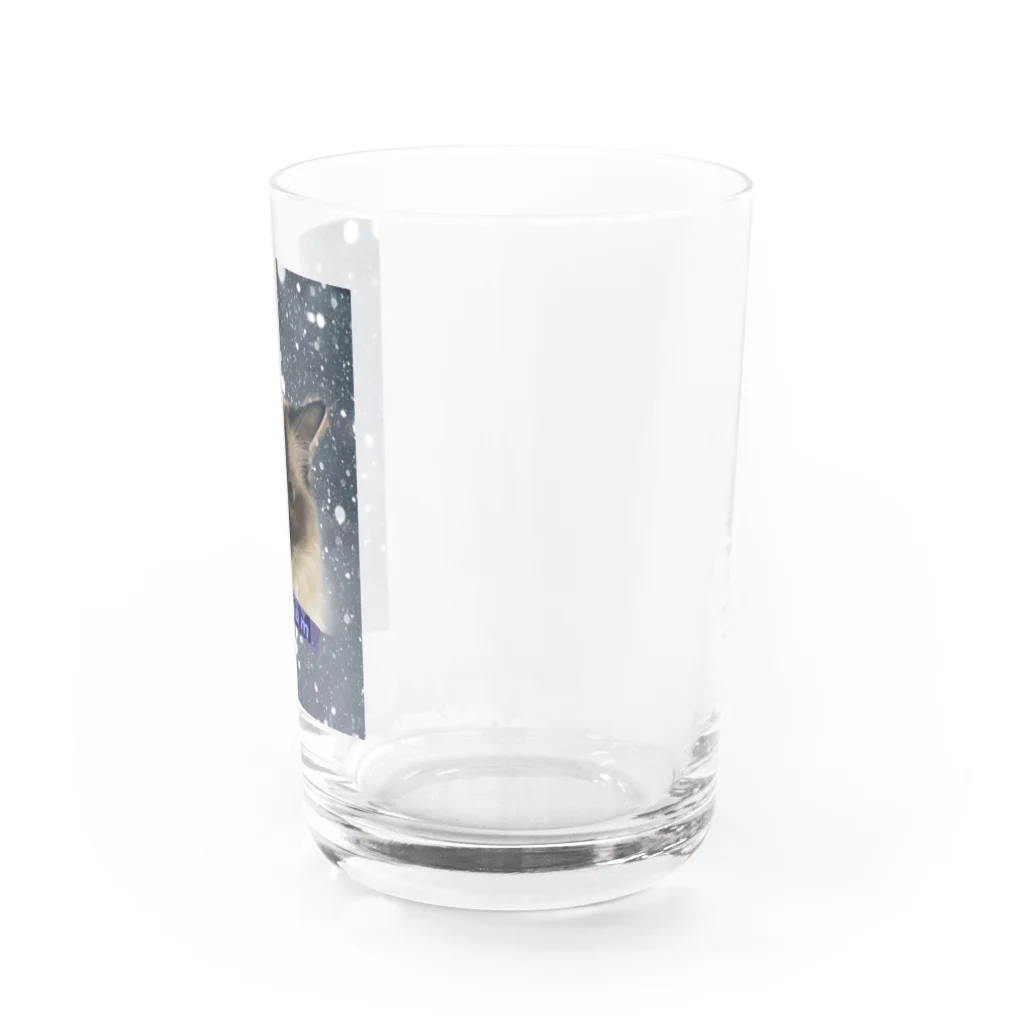 ꏸꋪꋫꁹꂑꐇꁒ𖤐《毎日ハロウィンのクラニアム》のねこの雫 Water Glass :right