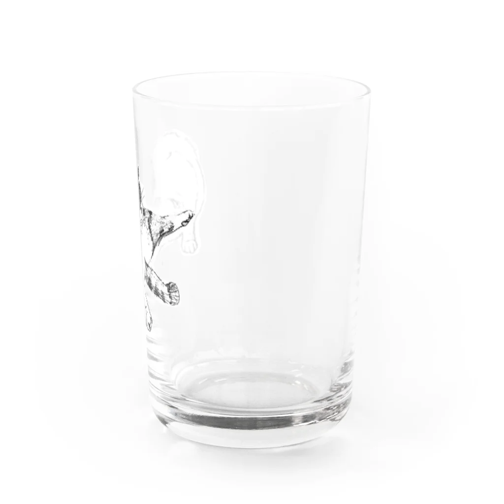 ３２１６の毛繕いの猫 Water Glass :right