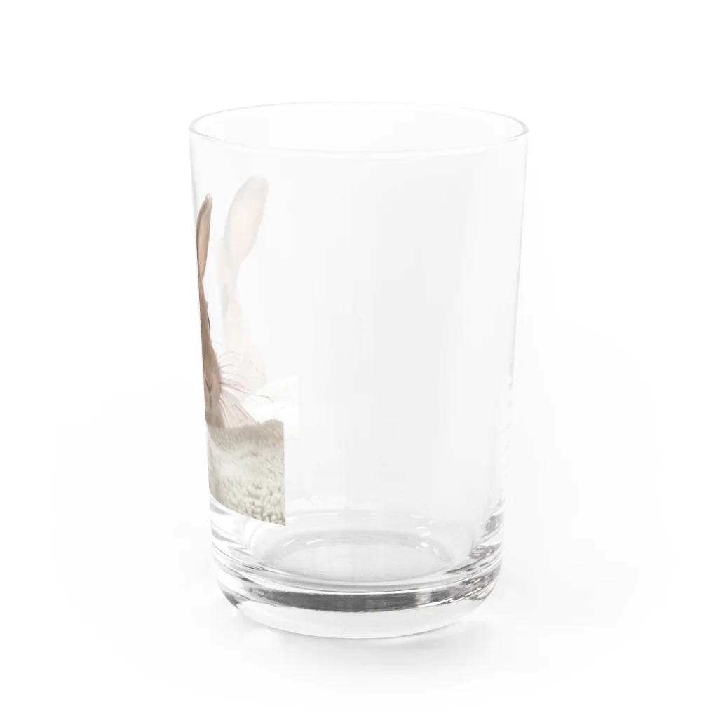 うさのロゴグッズのうさの写真グッズ Water Glass :right