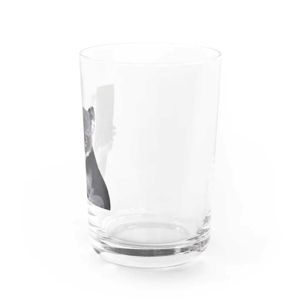 いきもの大好き！ほほえみフレンズのコアラの日常 ほほえみフレンズ Water Glass :right