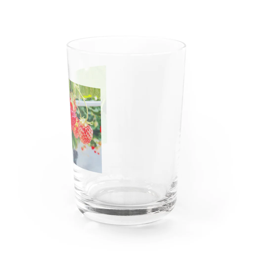 癒しショップのストロベリーちゃん Water Glass :right