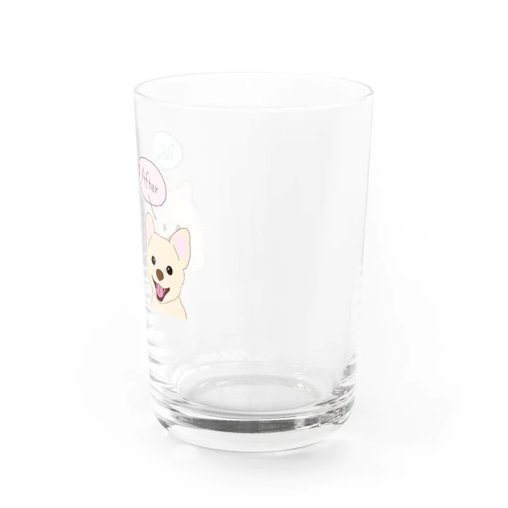 だいな&えでぃのポメラニアンのBefore After Water Glass :right