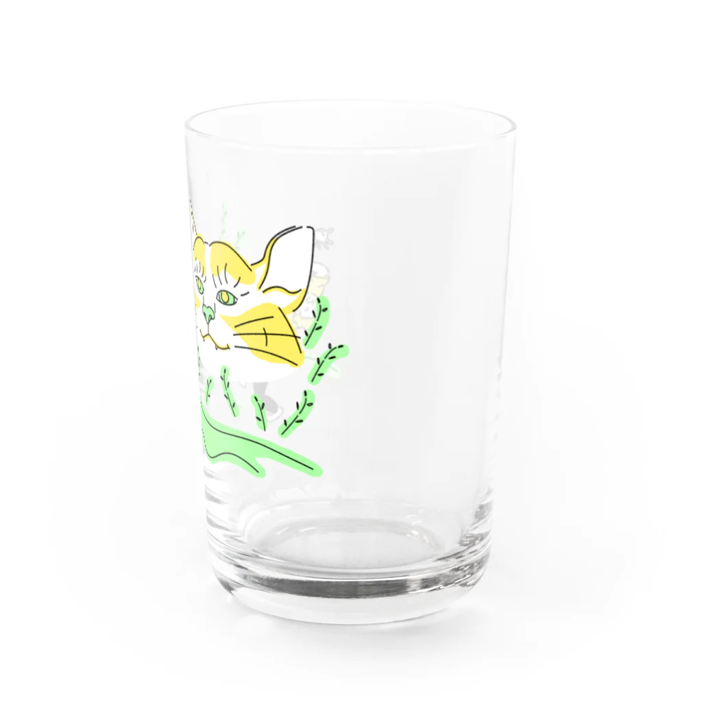 トラポ商店のバケネコ Water Glass :right