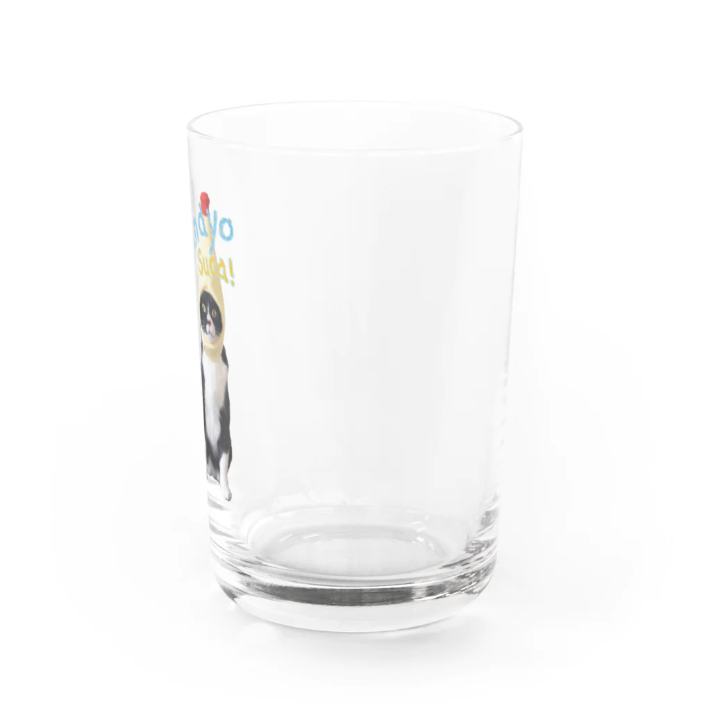 suca! mallのマヨスカ Water Glass :right