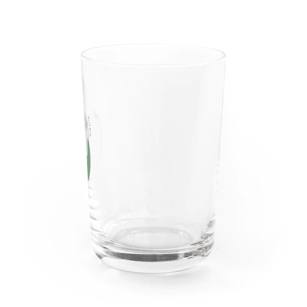 キャルルCITYののぞき文鳥 Water Glass :right